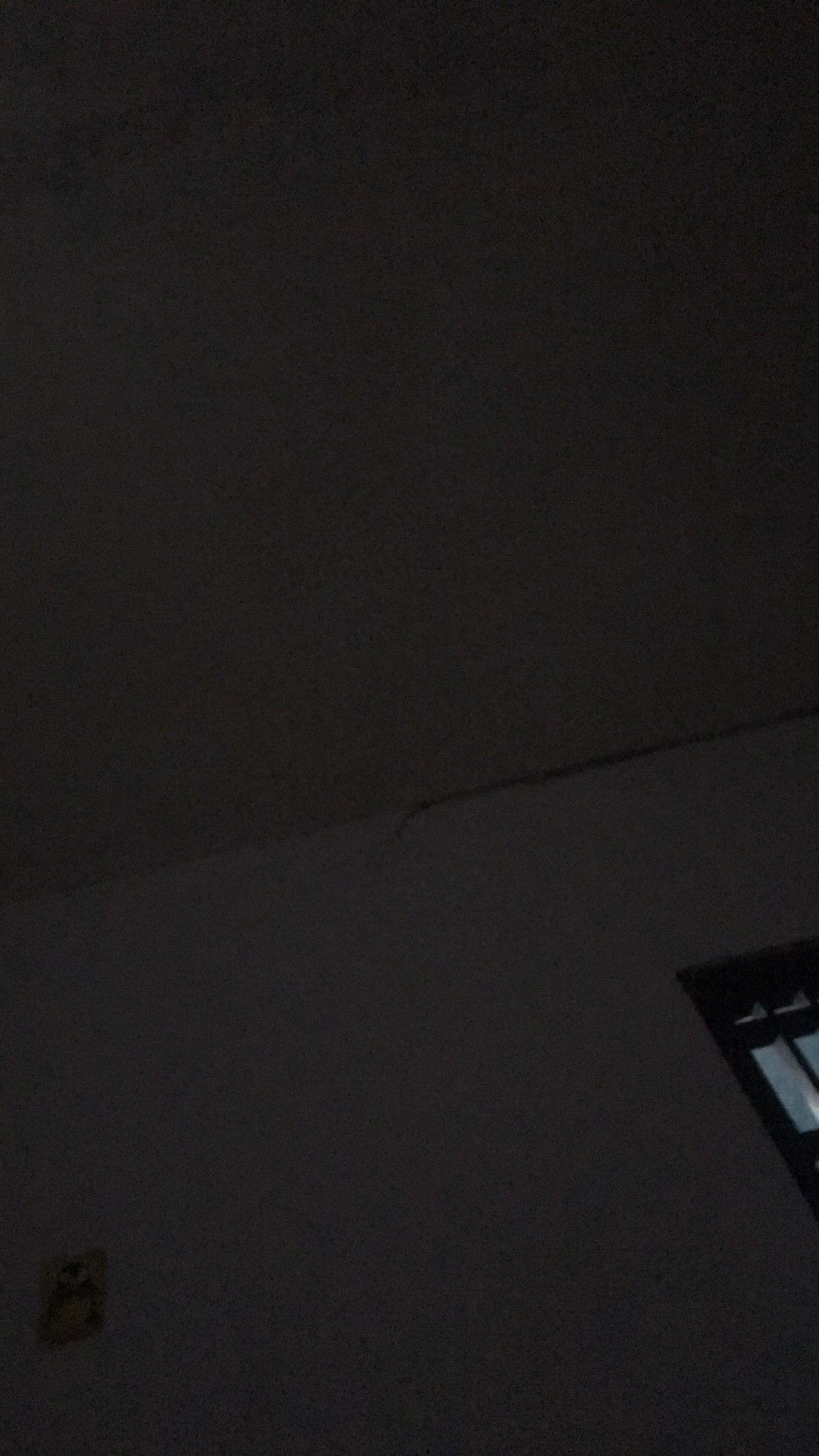 Sprei Aloha Uk. King (180x200)cm & Uk. Queen (160x200)cm Motif Bunga Nuansa Orange Ungu