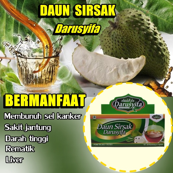 

Obat herbal alami mengobati kanker tumor dan meningkatkan kekebalan tubuh teh celup extra daun sirsak 100% Original