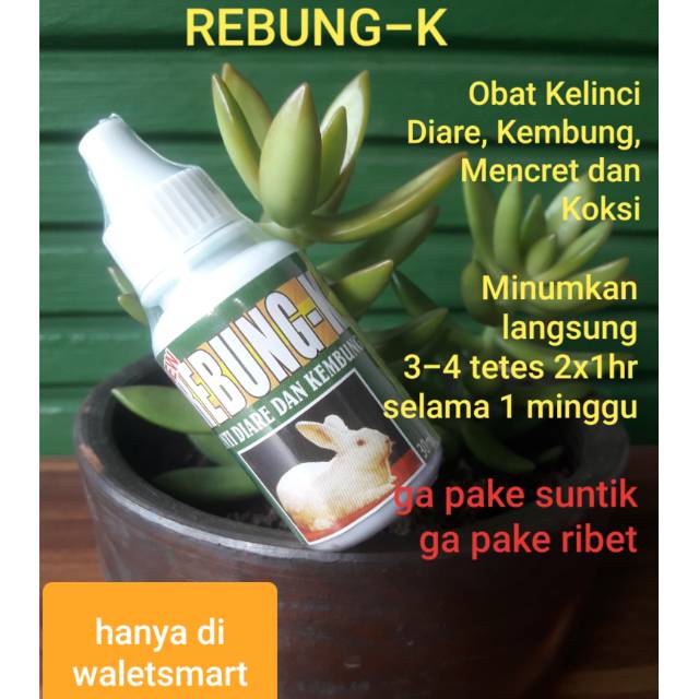 REBUNG - K Botol 30ml Anti Diare dan Kembung Pada Kelinci