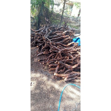 barerot Alfonso (anggur)