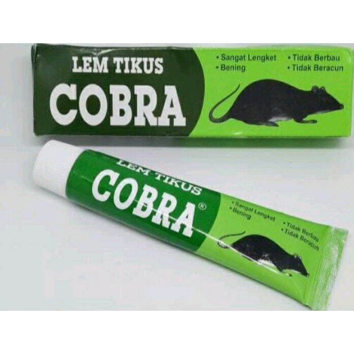 COBRA LEM TIKUS COBRA LEM PERANGKAP TIKUS CAP COBRA LEM TIKUS JEBAKAN PERANGKAP TIKUS LEM PERANGKAP 