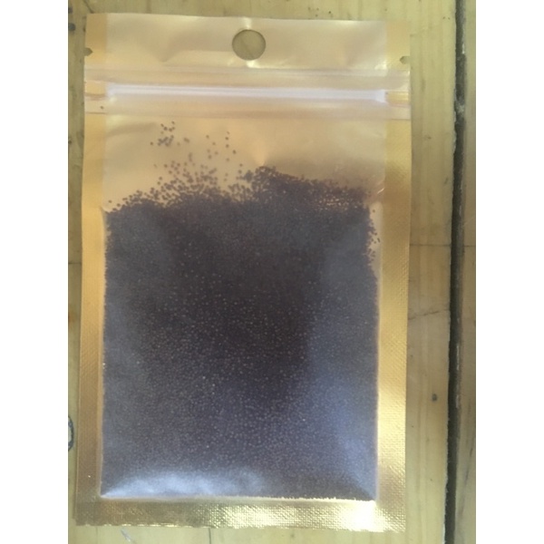 Bibit Carpet Seed (Hair Grass)