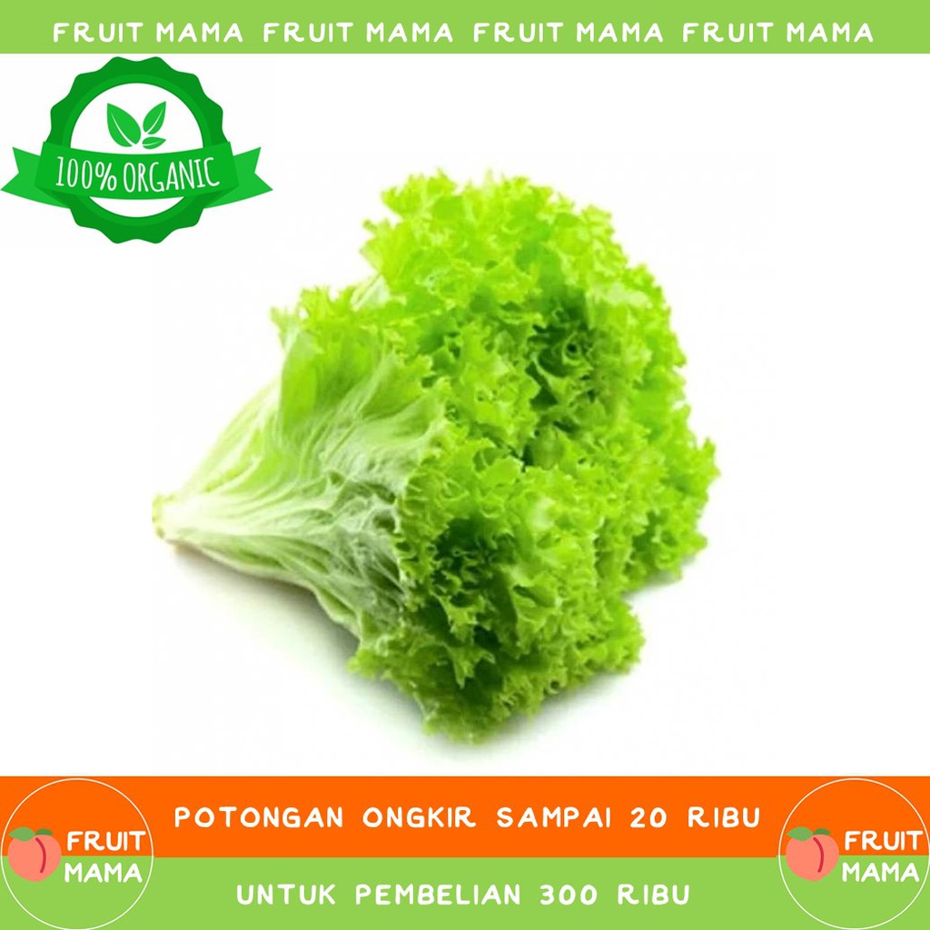 

SELADA KERITING Organik 250 Gram| Fruit Mama | Buah Impor & Sayur Organik