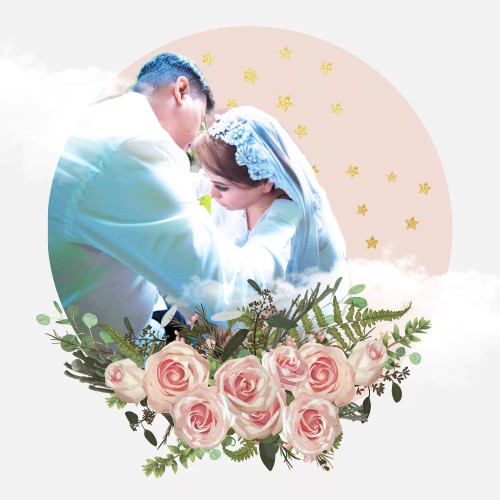 Bambu Hoki / Lucky Bamboo / Bambu Rejeki / Bambu Cina/ Bambu Mini