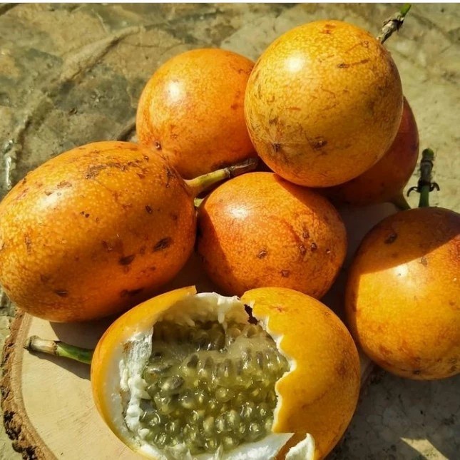

BUAH MARKISA FRESH MANIS 1 KG