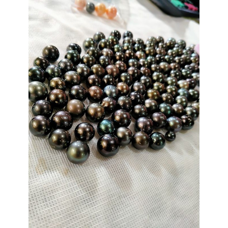 BUTIRAN MUTIARA LAUT HITAM LOMBOK