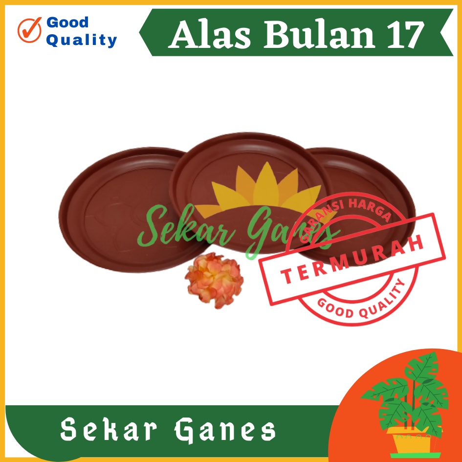 Sekarganes Tatakan Polos Alas Bulan 17 Merah BataTerracota Terracotta Merah Coklat By Garden Of Love Untuk Pot Tawon 18 21 Putih Pot Pirus Tawon