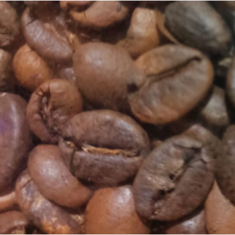 

kopi robusta