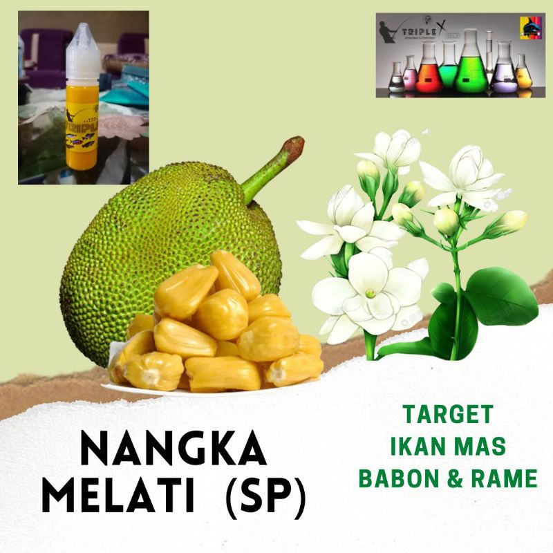 Essen Umpan Pancing Ikan Mas Induk Babon Rame Esen Nangka Melati SP Khusus Lomba Galapung Galatama