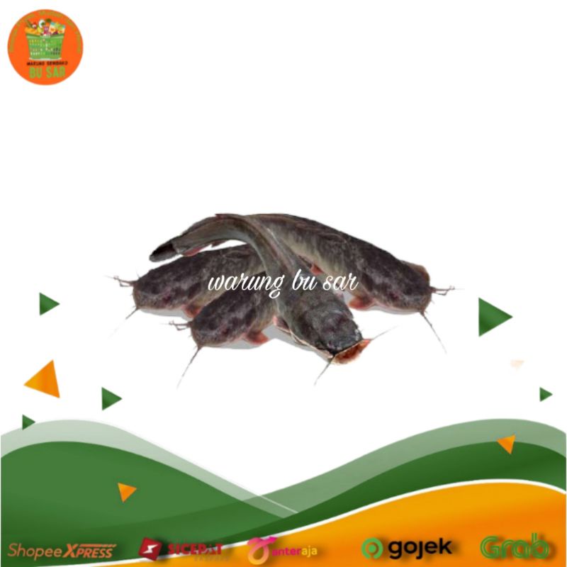 

Ikan Lele Segar 500 gram (Jogja dan sekitarnya)