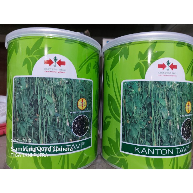 kacang panjang kantong tavi 500gr kaleng  Bibit benih kacang pangjang cap panah merah