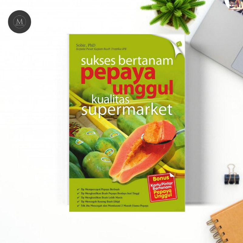 

SUKSES BERTANAM PEPAYA UNGGULAN KUALITAS SUPERMARKET