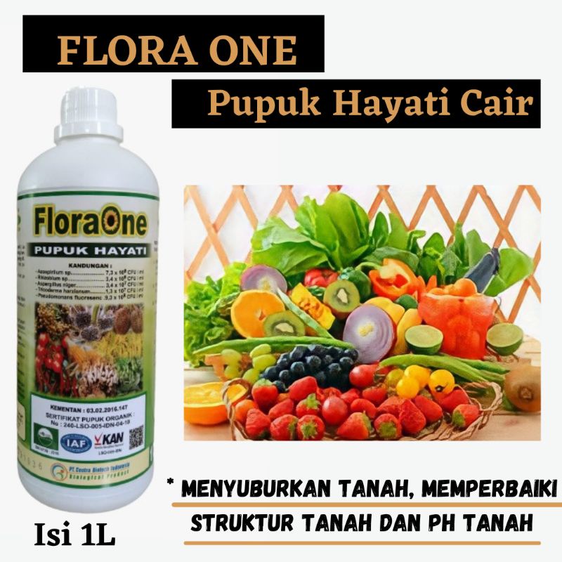 Pupuk Pembesar Umbi Bawang Merah, Fungisida Untuk Layu Fusarium Bawang Merah