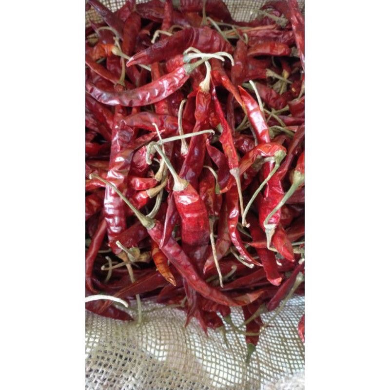 Cabe Rawit Teja merah Kering SUPER 500Gram 1/2 Kilo Fresh!