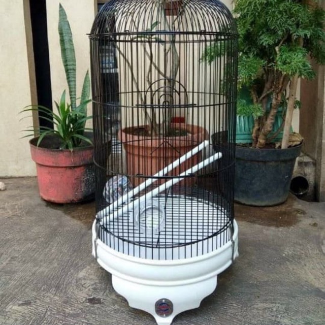 Sangkar Lovebird Tebok Ebod Polos Kandang Burung Lovebird Kenari Shopee Indonesia