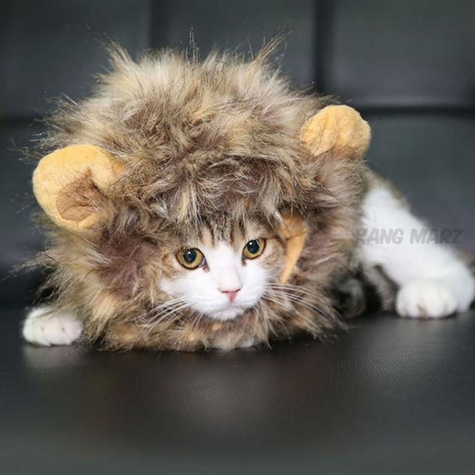 Baju Kostum Kucing Anjing Model Wig / Rambut Singa Super Lembut - Hitam