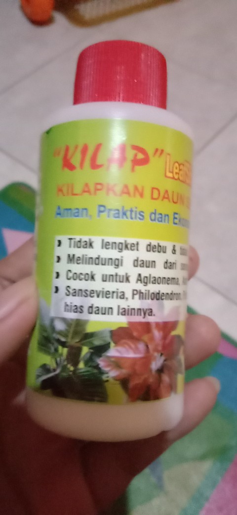 Pengkilap Daun Kilap - Leaf Shine - Kilap Daun