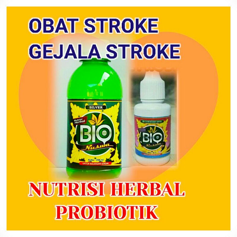 

OBAT STROKE | GEJALA STROKE | NUTRISI HERBAL PROBIOTIK