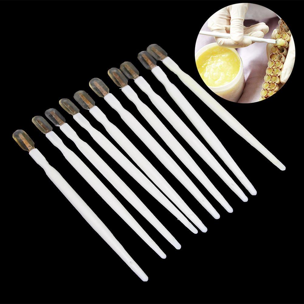 [Elegan] Bees Grafting Pen 6 Pcs Portabel Perlengkapan Peralatan Lebah Apiculture Scraper Pulp