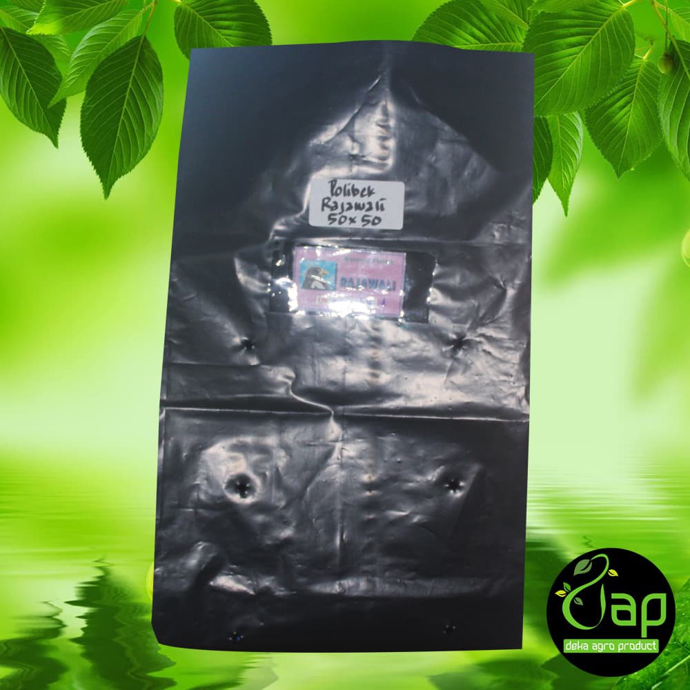 POLYBAG 50 X 50 CM 1KG RAJAWALI
