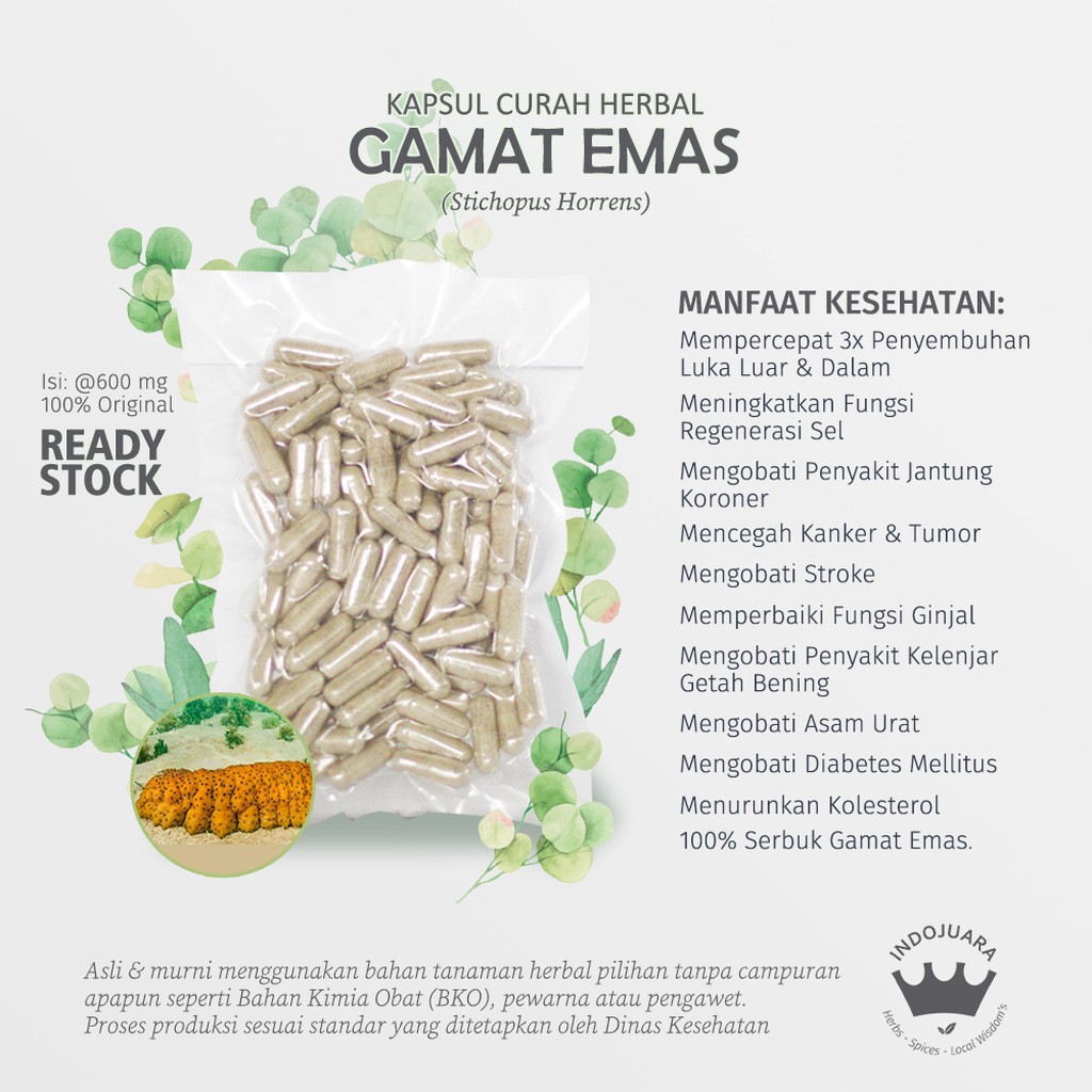 GAMAT EMAS 200 x 600mg Kapsul Curah Herbal Anti Aging Kanker Tumor Diabetes Hipertensi Osteoporosis