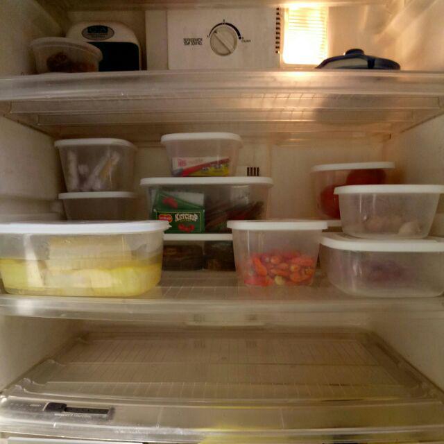 Kotak Bekal Makan Frenzy Food Container Wadah Lunch Box Set