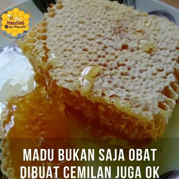 

madu sarang Apis Mellifera - MMD979