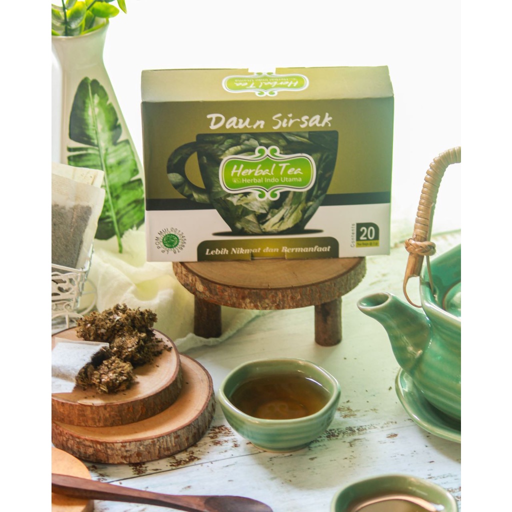 

Teh Celup Herbal Tea Daun Sirsak HIU - Membantu Penyembuhan Penyakit