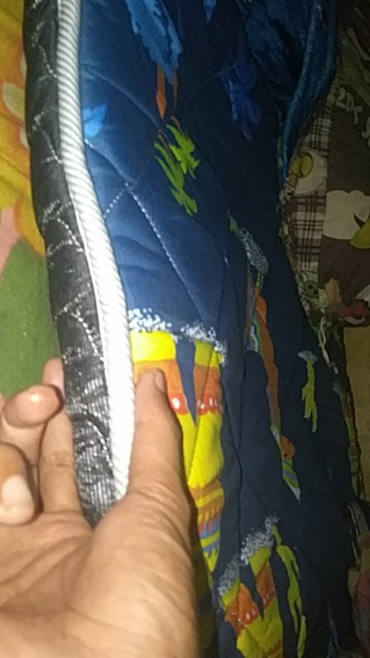 Kasur Gulung Lantai Quantum