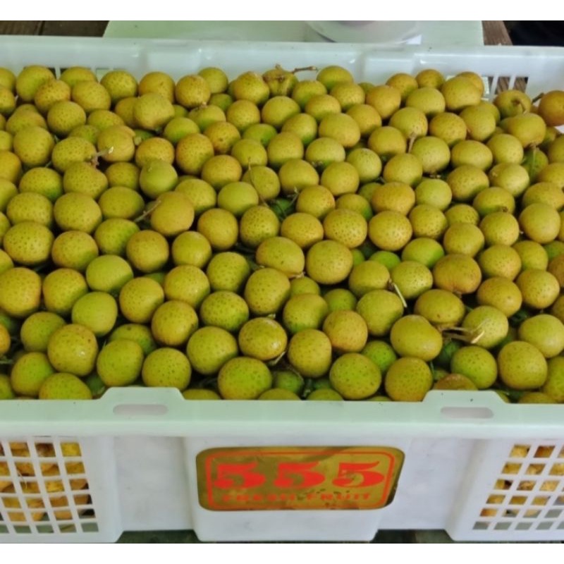 Buah lengkeng bangkok Thailand 1 keranjang