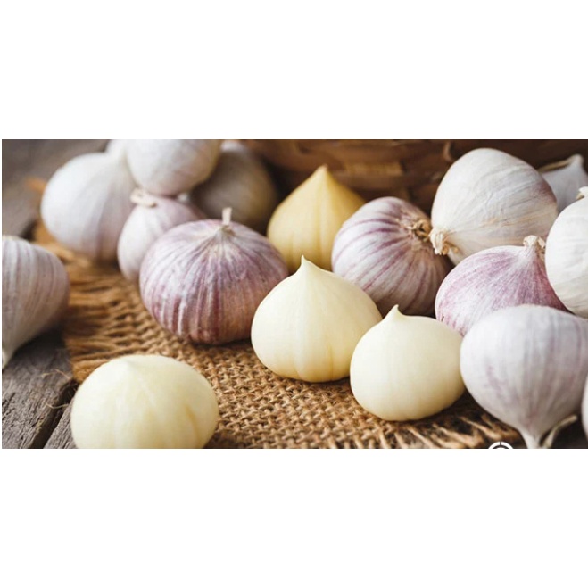 

COD bawang lanang/ bawang tunggal 100% ORIGINAL FRESS