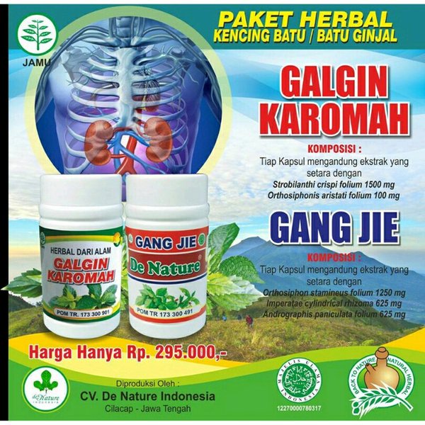 

Herbal Pilihan Obat Batu Ginjal - Kencing Batu - DE NATURE