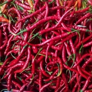 

Cabe / Cabai Rawit Merah Keriting 500 gram