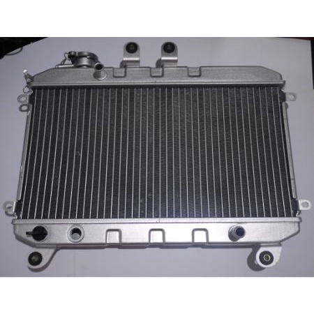 Radiator viar Karya 200 Radiator viar radiator viar baru bisa buat viar new karya 150 200 CC