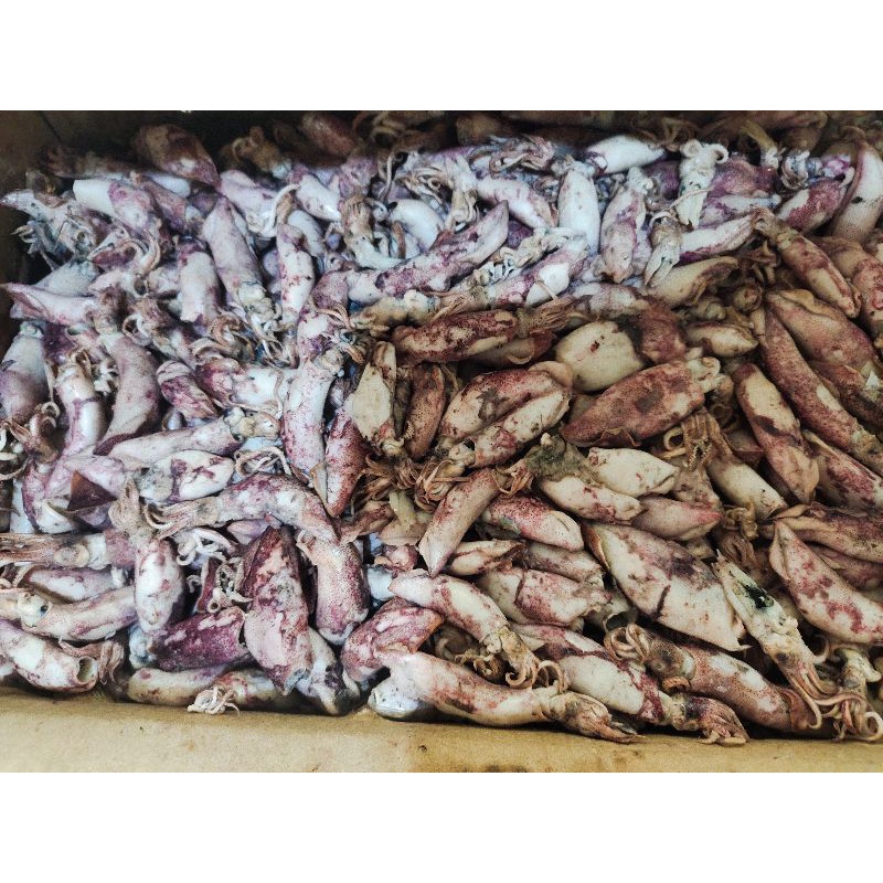 

cumi asin kualitas super nett 1kg