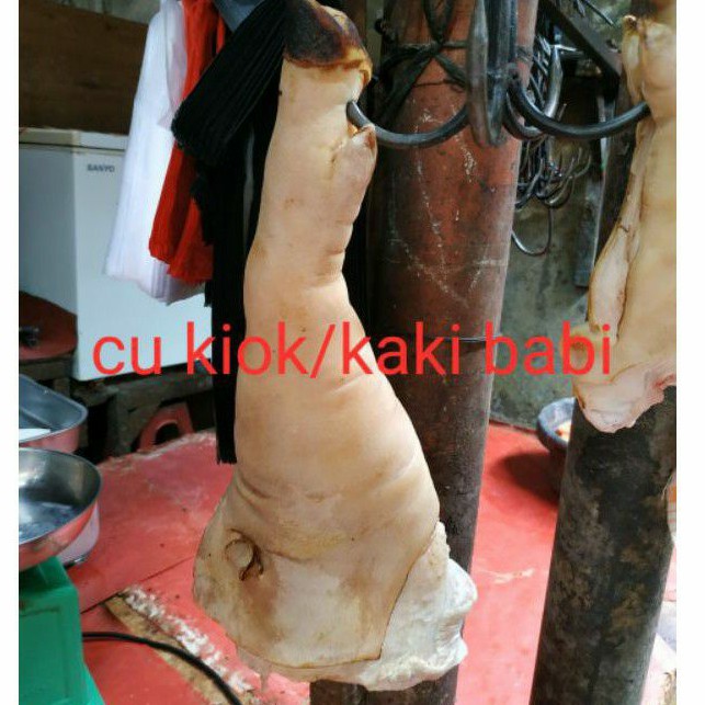 

Cukiok/ Kaki babi / Tebal daging / tanpa bulu