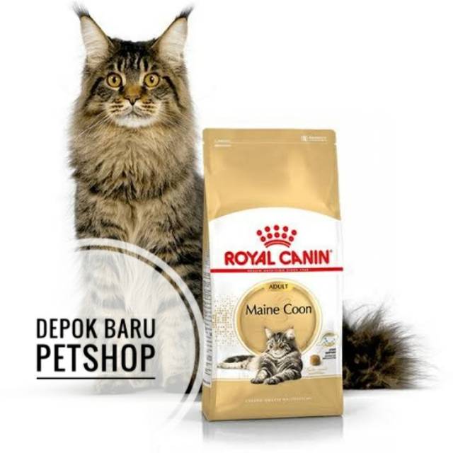 Royal Canin Mainecoon Adult 4kg RC Mainecoon 4kg