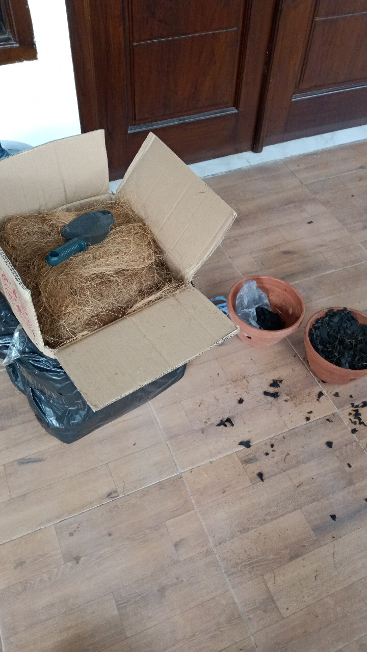 Pot Bunga Tanah Liat Pot Anggrek Bk