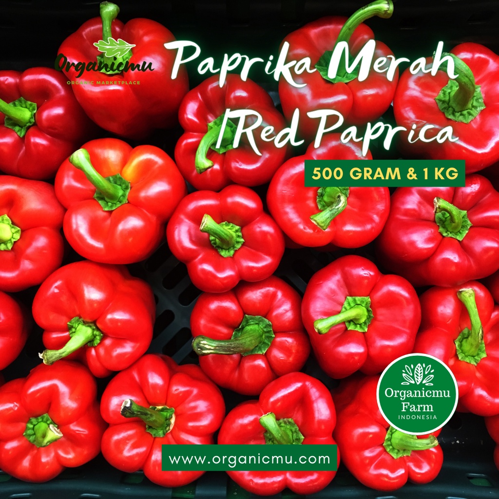 

Organicmu - Paprika Merah 1 kg