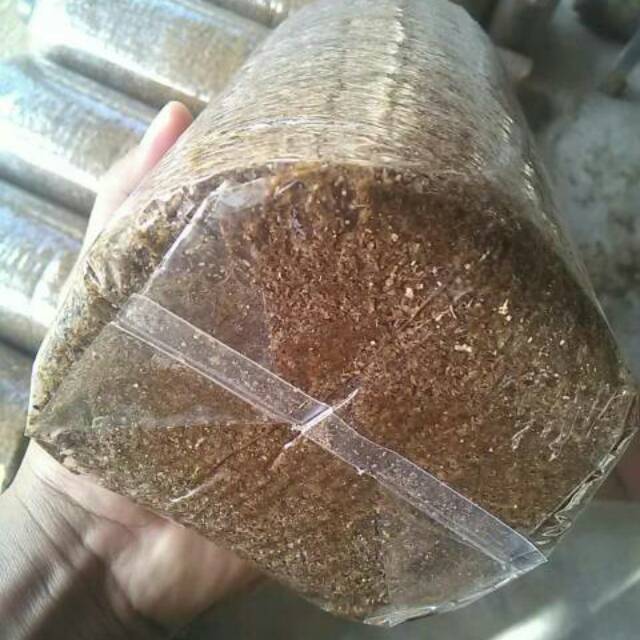 Plastik baglog jamur tiram jenis pp ukuran 0 4x18x35 Plastik baglog jamur tiram jenis pp ukuran 0 4x18x35