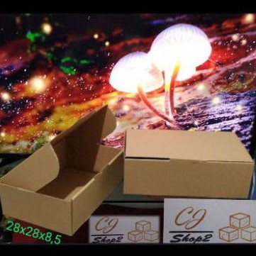 

kardus box pizza 28x28x8.5