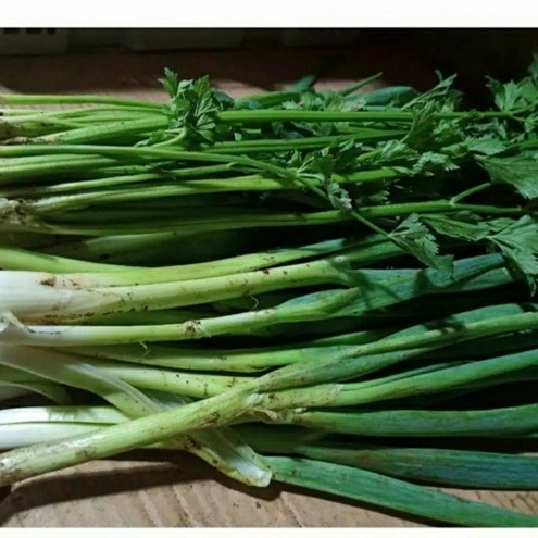 

Paket Daun Bawang + Seledri 200gr