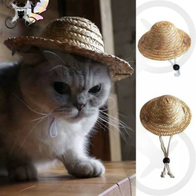 Kostum Topi Jerami Anjing Kucing Cat Dog Caping Costum Straw Hat Pet