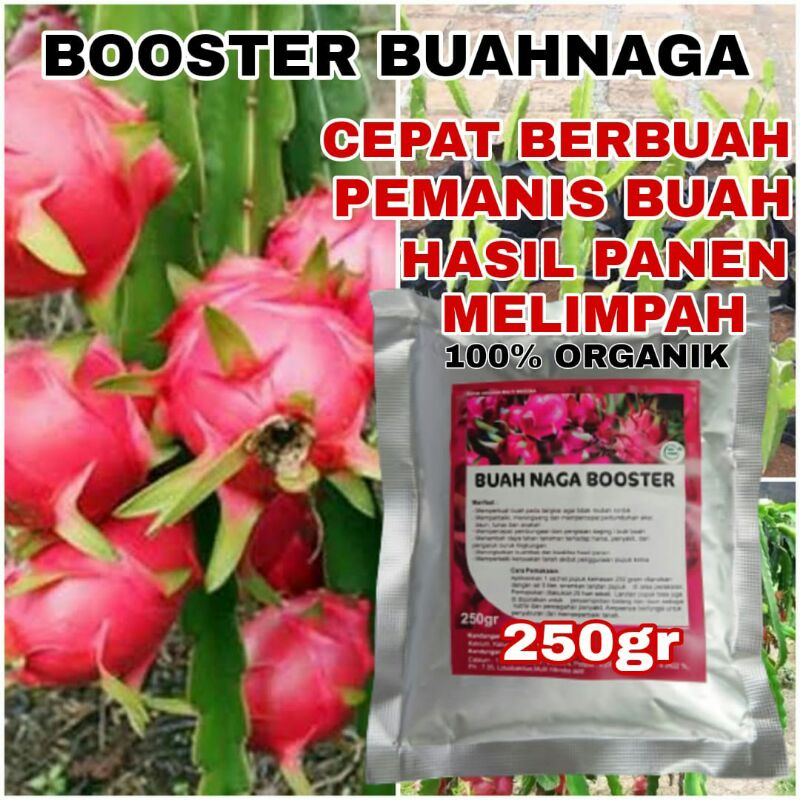 PUPUK ORGANIK BUAH NAGA BOOSTER BUAH NAGA BIAR CEPAT BERBUAH DAN LEBAT