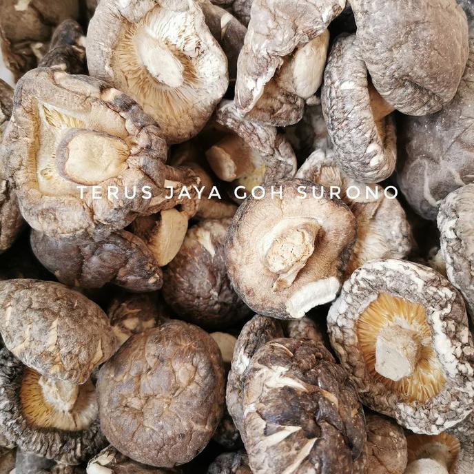 

TERMURAH Jamur Shitake 5-7 Cm Kode 526