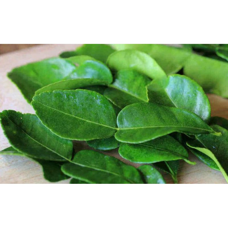 

DAUN JERUK / BUMBU DAPUR 50gr