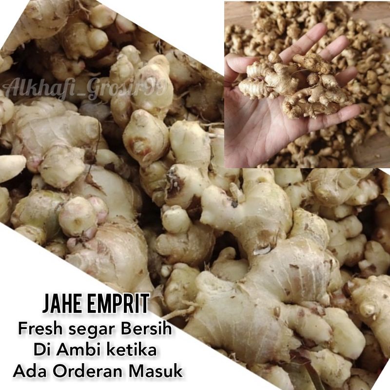 

JAHE EMPRIT FRESH SEGAR BERSIH 1 KG