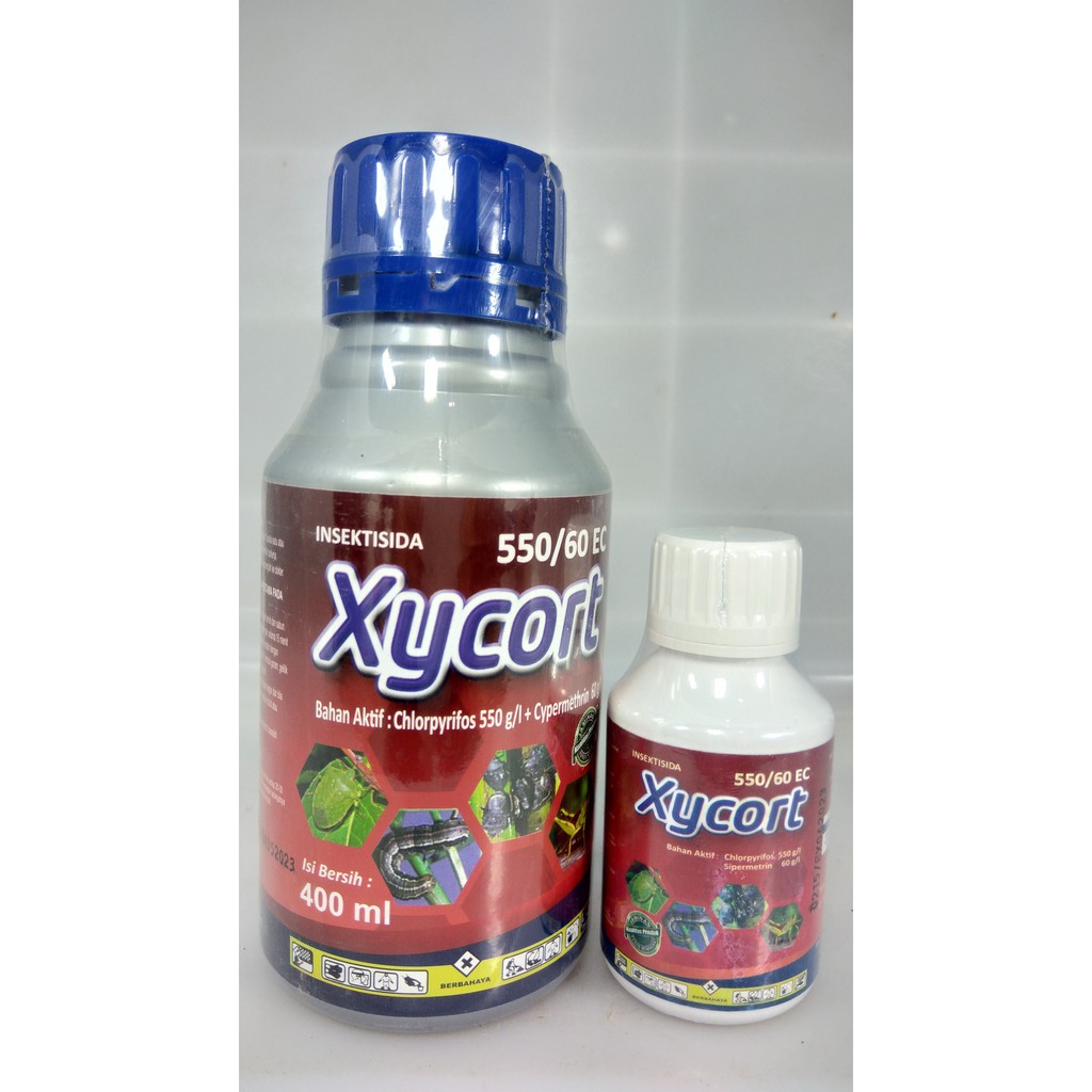Xycort