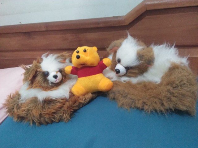 Bagus Dipakai.. [beli 1 Gratis 1]  Sarung Tempat Tisu Kucing Bulu Korea