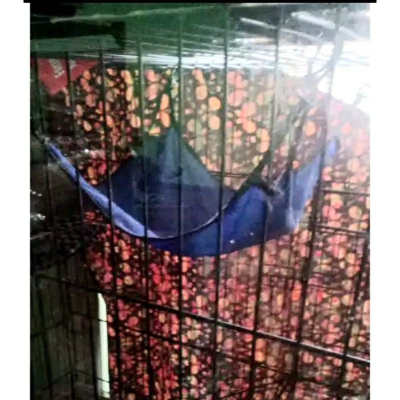 Ayunan kucing cat hammock tempat tidur gantung kandang hewan pet cage musang tupai